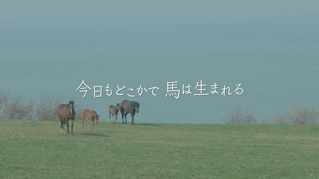 今日もどこかで馬は生まれる アップリンク渋谷